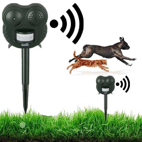 profesionalni tjerač pasa i mačaka